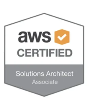 solution architect